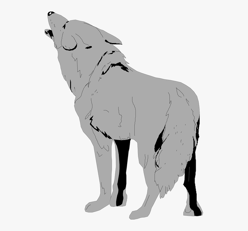 Wolf Clipart No Background, HD Png Download, Free Download