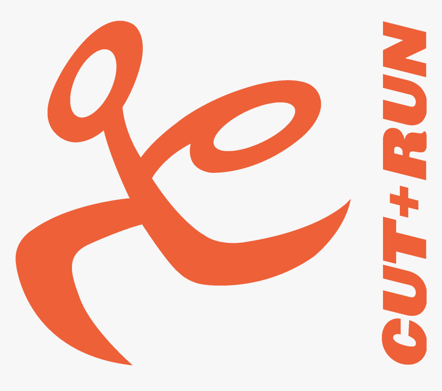 Cut Run Uk - Cut And Run, HD Png Download, Free Download