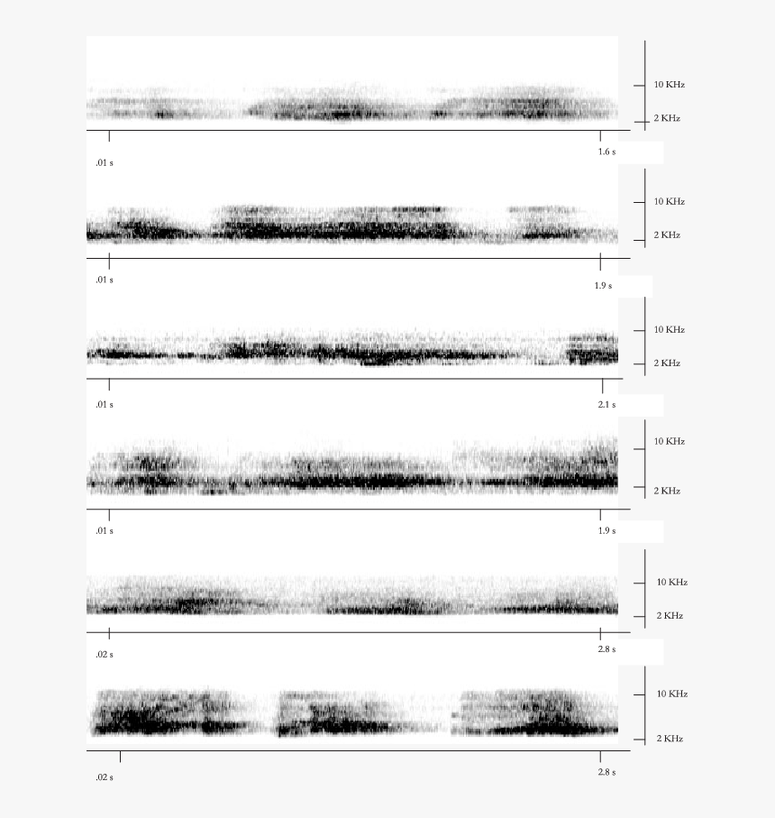 Monochrome, HD Png Download, Free Download