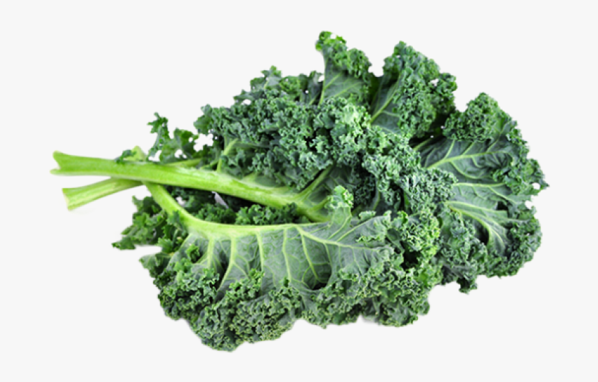 Thumb Image - Kale Png, Transparent Png, Free Download