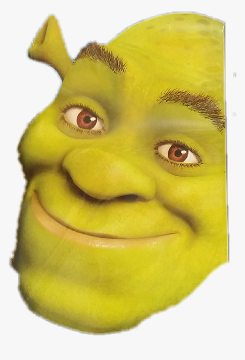 Close-up Clipart , Png Download - Shrek Close Up, Transparent Png, Free Download