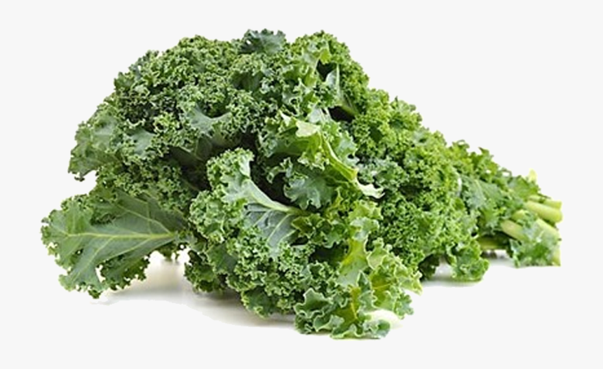 Marketed In Denmark By Bioforce Danmark As - Organic Fresh Kale, HD Png Download, Free Download