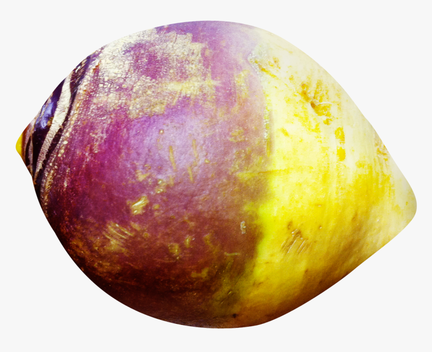 Rutabaga Png, Transparent Png, Free Download