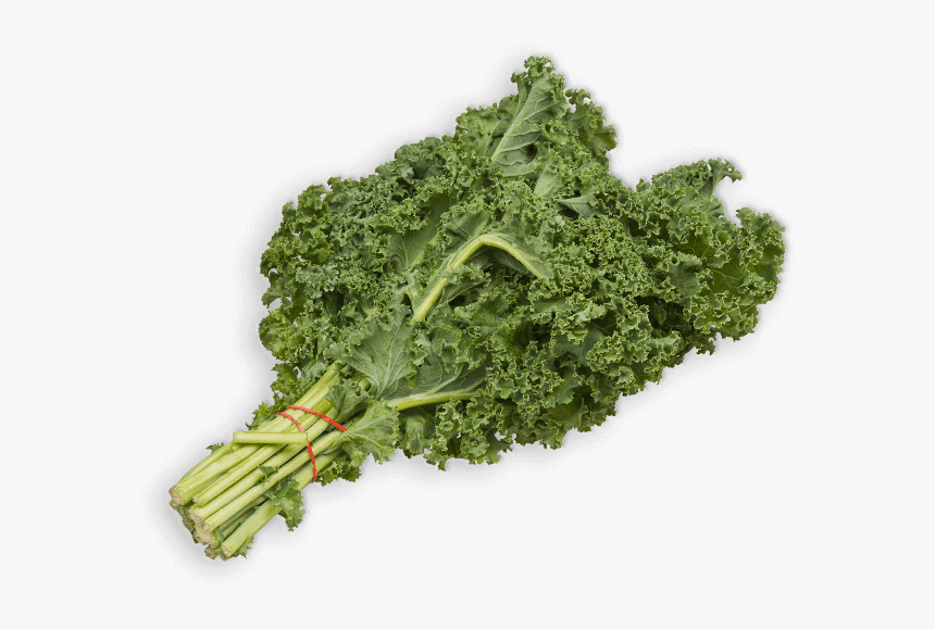 Kale, HD Png Download, Free Download