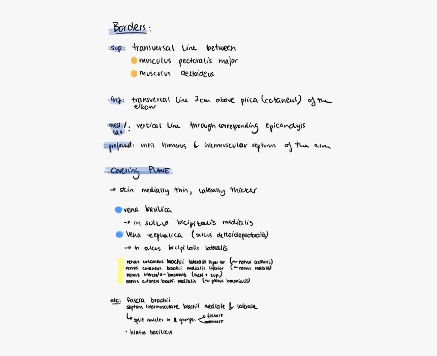 Screenshot, HD Png Download, Free Download