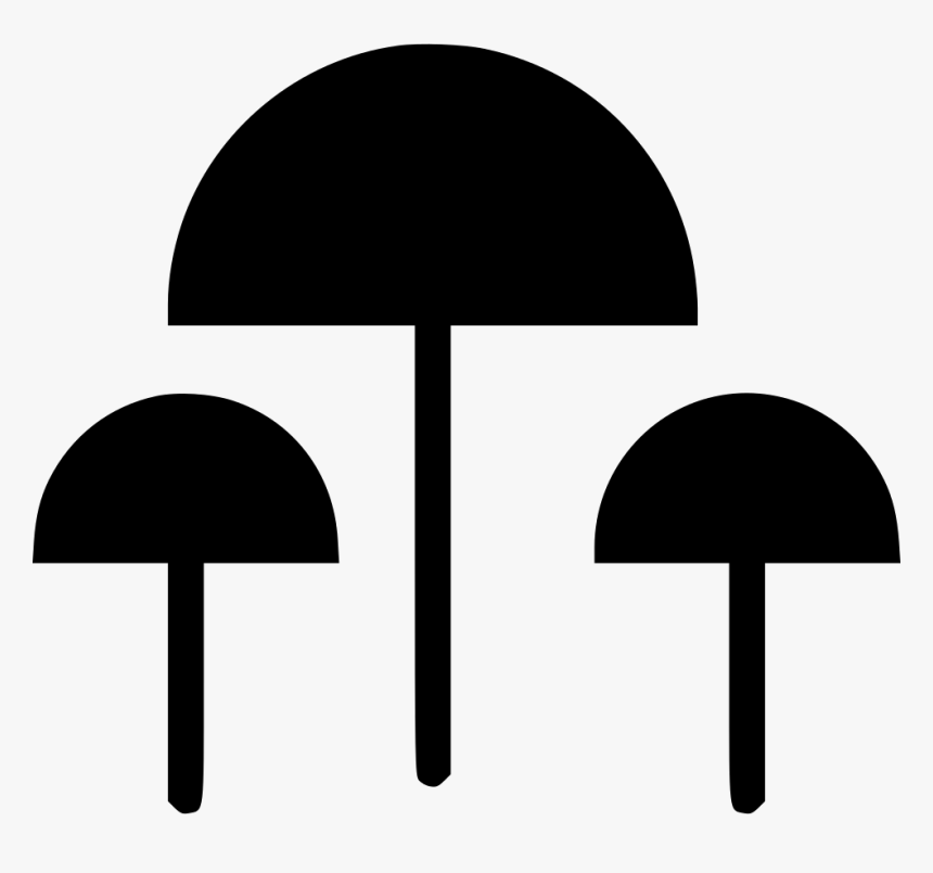 Mushrooms - Mushroom, HD Png Download, Free Download