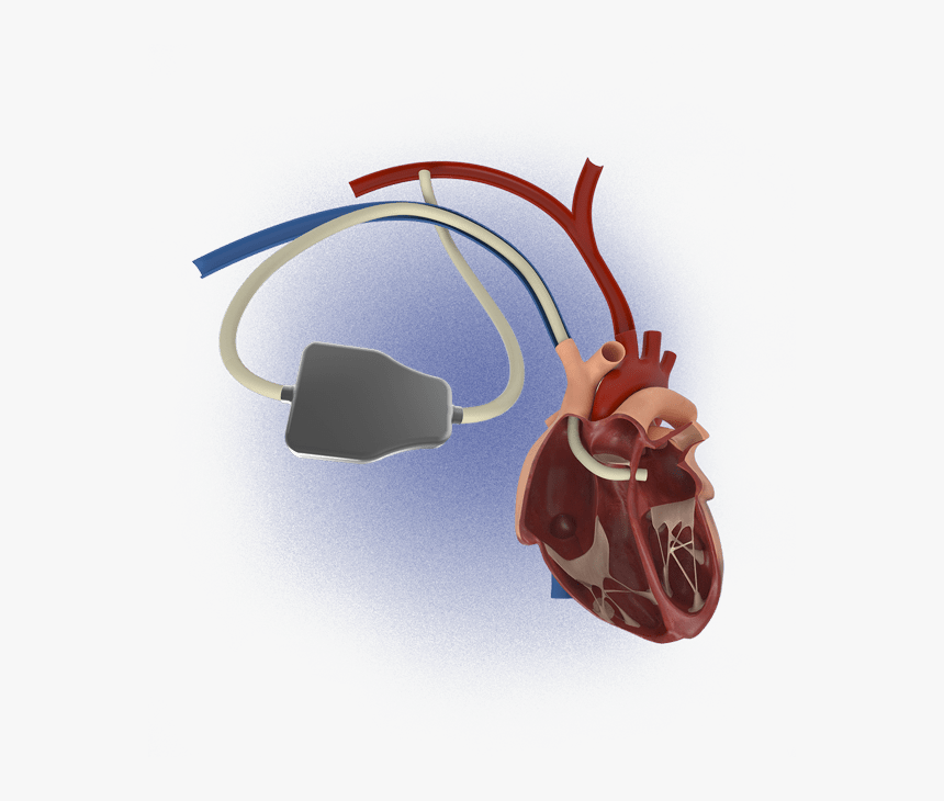 Cable, HD Png Download, Free Download