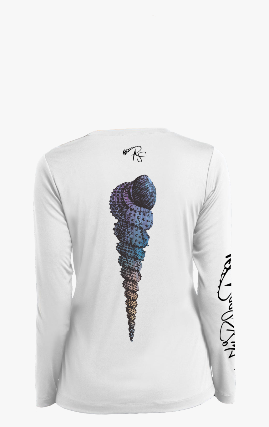 Shell Png, Transparent Png, Free Download