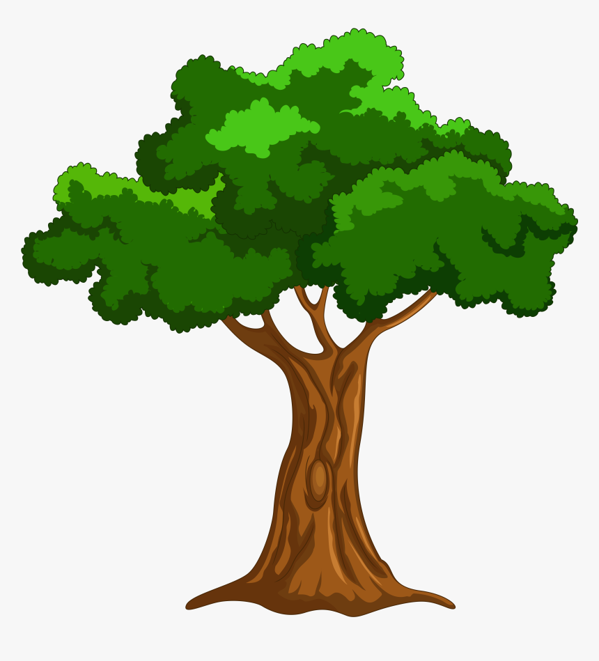 Cartoon Tree Png Clip Art - Tree Clipart, Transparent Png, Free Download