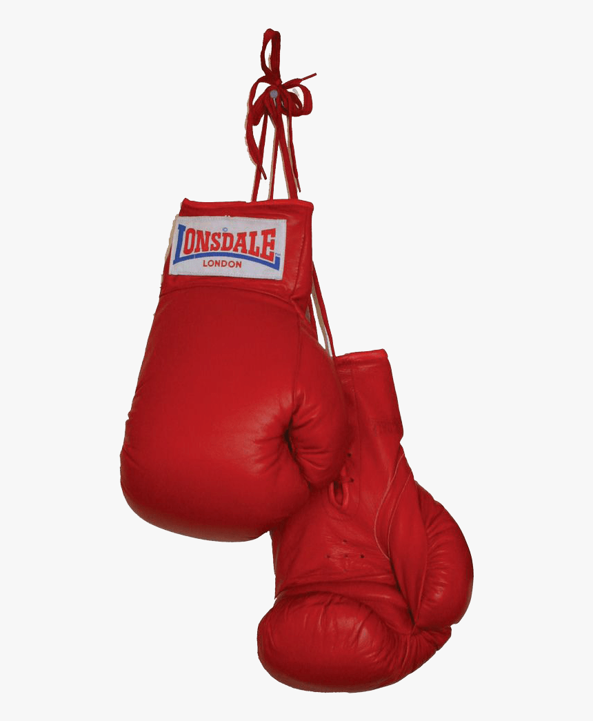 Boxing Gloves Duo - Transparent Background Boxing Gloves Png, Png Download, Free Download