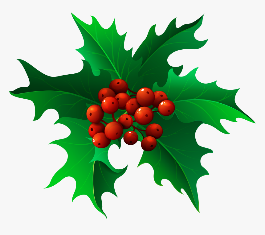 Transparent Mistletoe Png, Png Download, Free Download