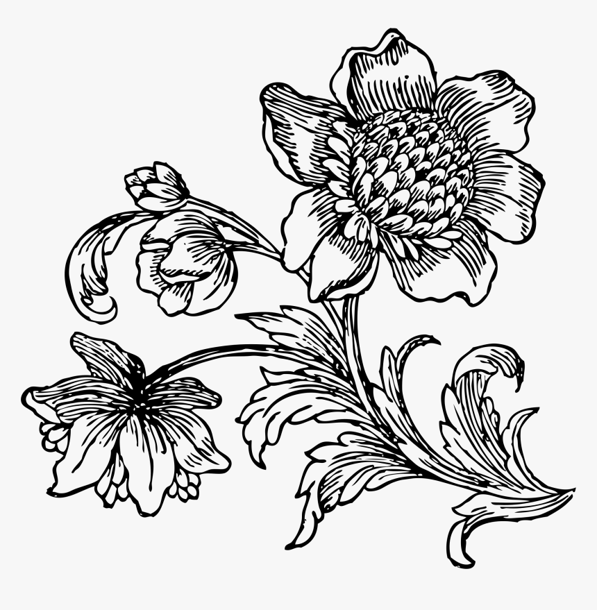 Big At Getdrawings - Black And White Flower Drawing Png, Transparent Png, Free Download