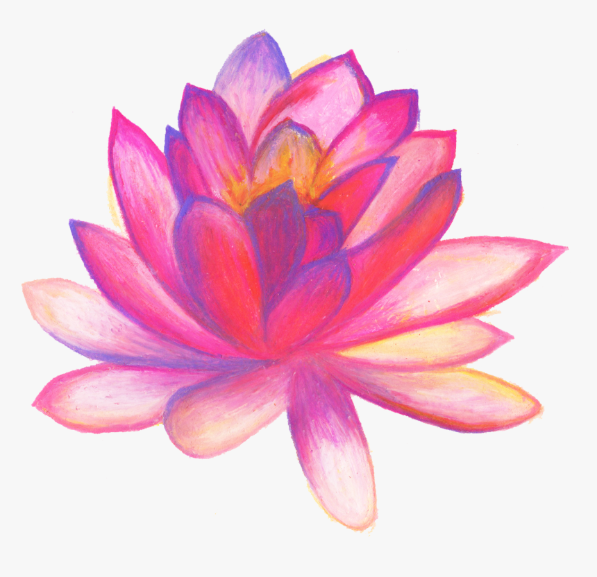 Poster Hand Drawn - Flower Png For Poster, Transparent Png, Free Download