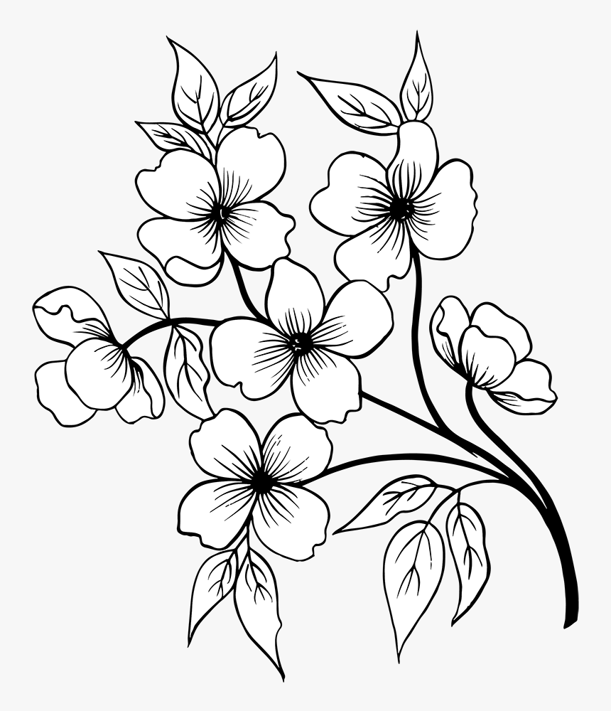 Flower Hand Drawn Png, Transparent Png, Free Download