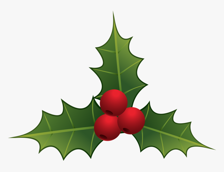 Mistletoe Png Clipart - Mistletoe Clipart Png, Transparent Png, Free Download