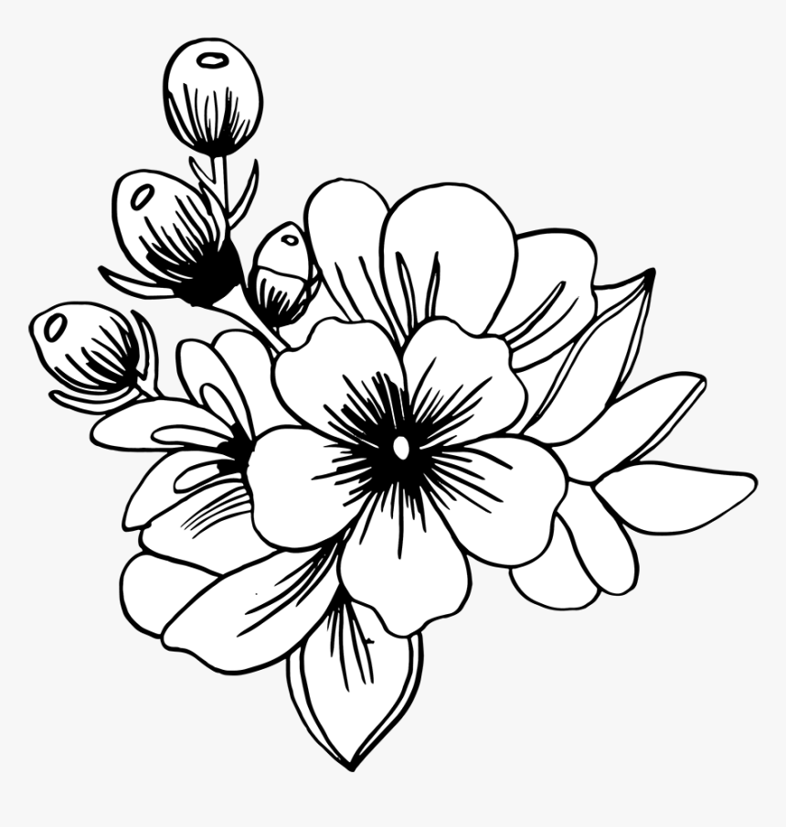Black And White Hand Drawn Flower Png, Transparent Png, Free Download