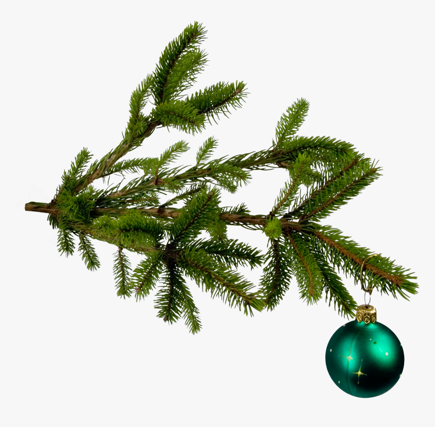 Christmas Png Image - Christmas Tree Leaves Png, Transparent Png, Free Download