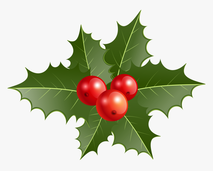 Christmas Leaf Png, Transparent Png, Free Download