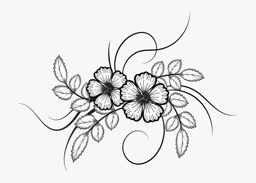 Clip Art Collection Of Free Drawing - Transparent Flower Drawings Png, Png Download, Free Download