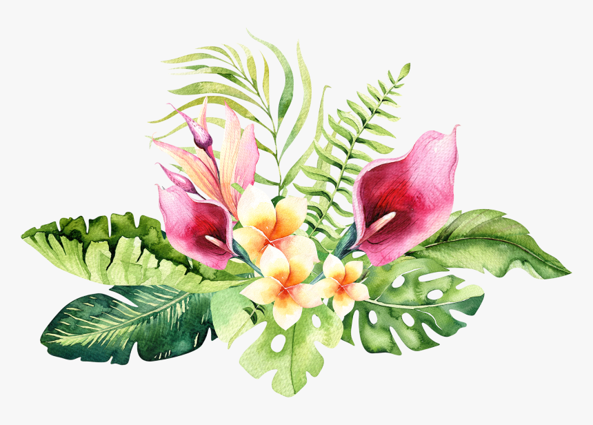 Hand Drawn Watercolor Tropical Flower , Png Download - Tropical Flowers Transparent Background, Png Download, Free Download