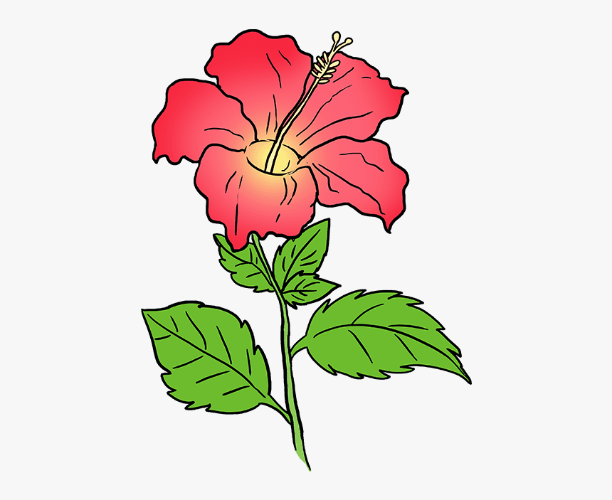 Hawaiian Flower Png - Drawing, Transparent Png - kindpng.