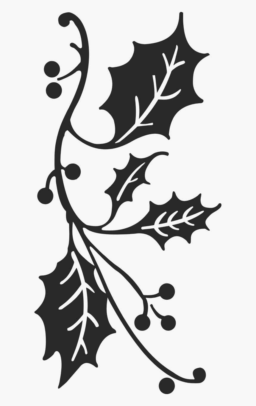Black And White Holly Clipart, HD Png Download, Free Download