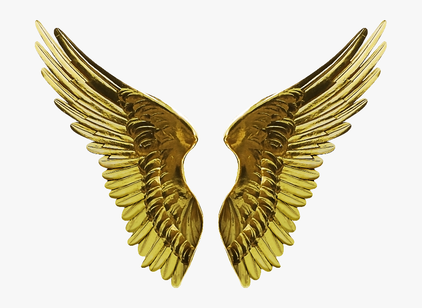 Angel Gold Wings Png Cutout Image Angel Wings Cut Out