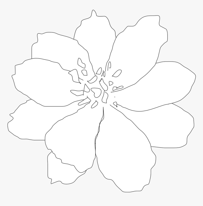 White Flowers Clip Art - Line Art, HD Png Download, Free Download