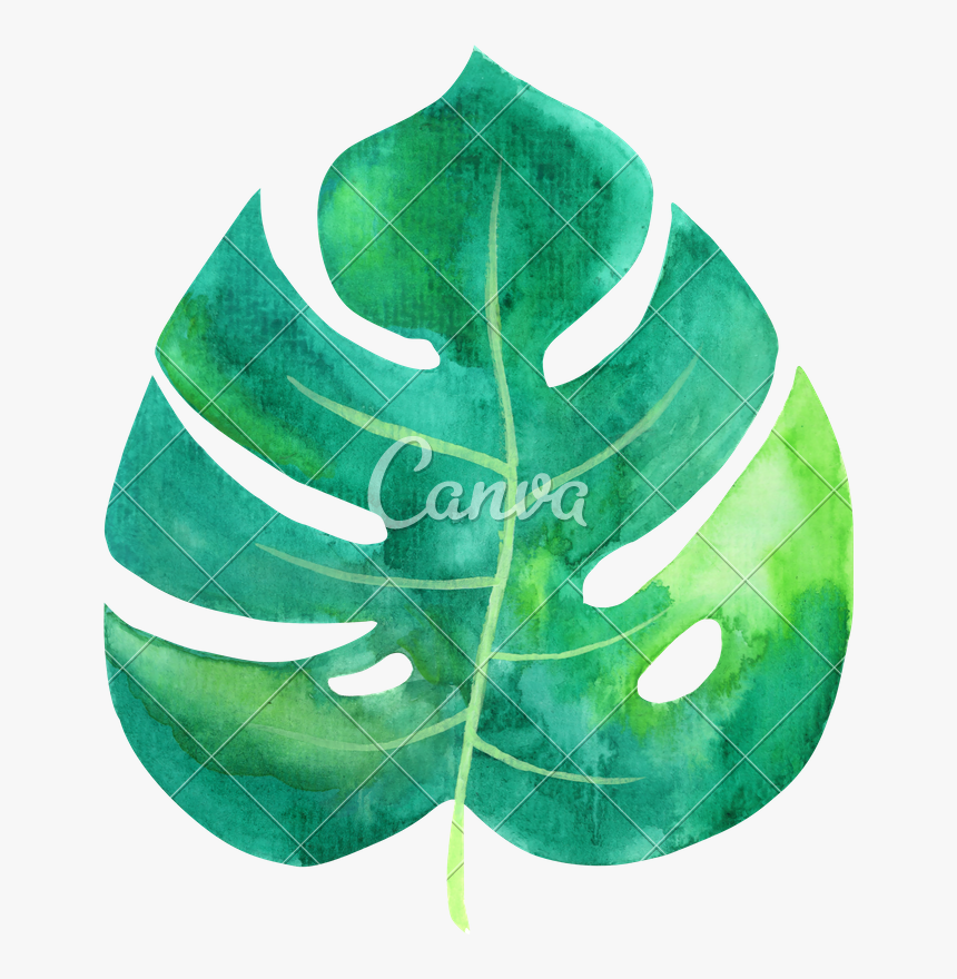 Transparent Watercolor Tropical Leaf, HD Png Download, Free Download