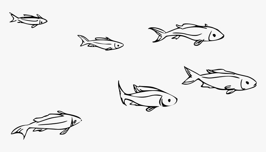 School Of Fish Png, Transparent Png, Free Download