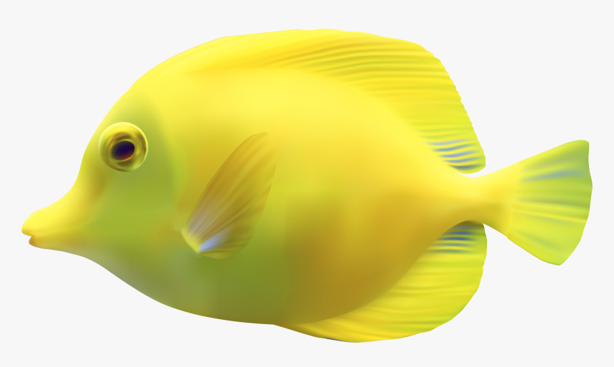 Yellow Zebrasomatang Fish Png Clipart - Fish Png, Transparent Png, Free Download