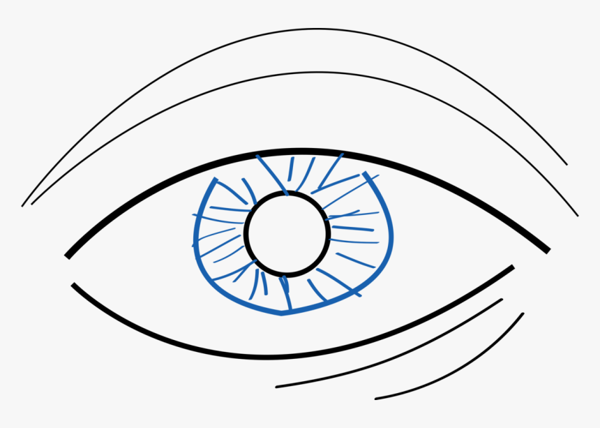 Line Art,human Body,eye - Simple Drawing Blue Eyes, HD Png Download, Free Download