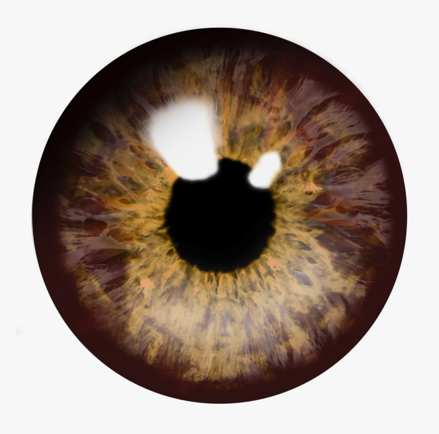 Brown Eyes Transparent Background - Transparent Brown Eyes Png, Png Download, Free Download