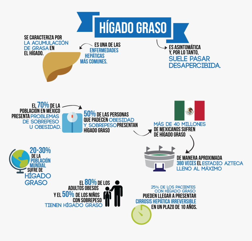 Factores De Riesgo Higado Graso, HD Png Download - kindpng