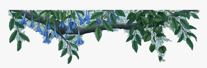 Jungle Border Png File - Blue Flowers Border Png, Transparent Png, Free Download