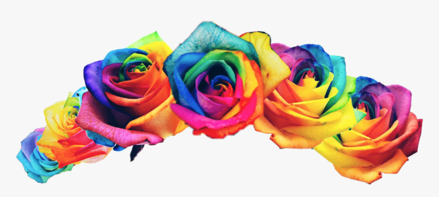 Rainbow Flower Crown Png, Transparent Png, Free Download