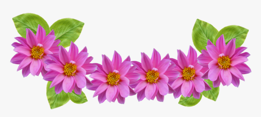 6 Best Image Of Flower Crown Clip Art - Snapchat Flower Crown Png, Transparent Png, Free Download