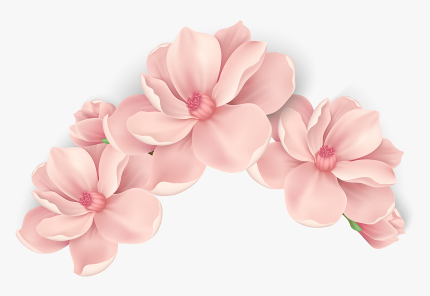 Peach Flower Vector Png, Transparent Png, Free Download