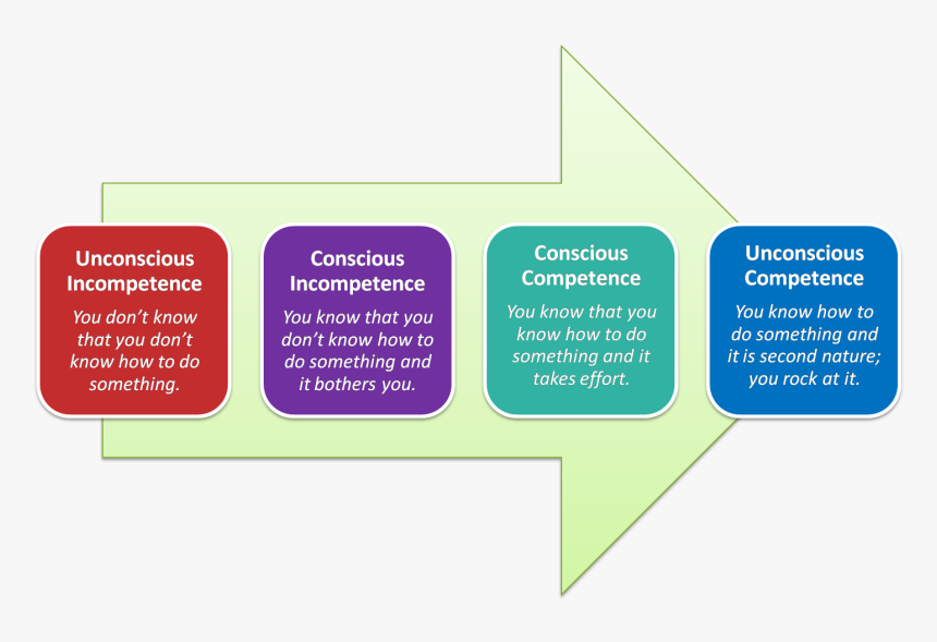 Stages Of Learning In Education, HD Png Download, Free Download