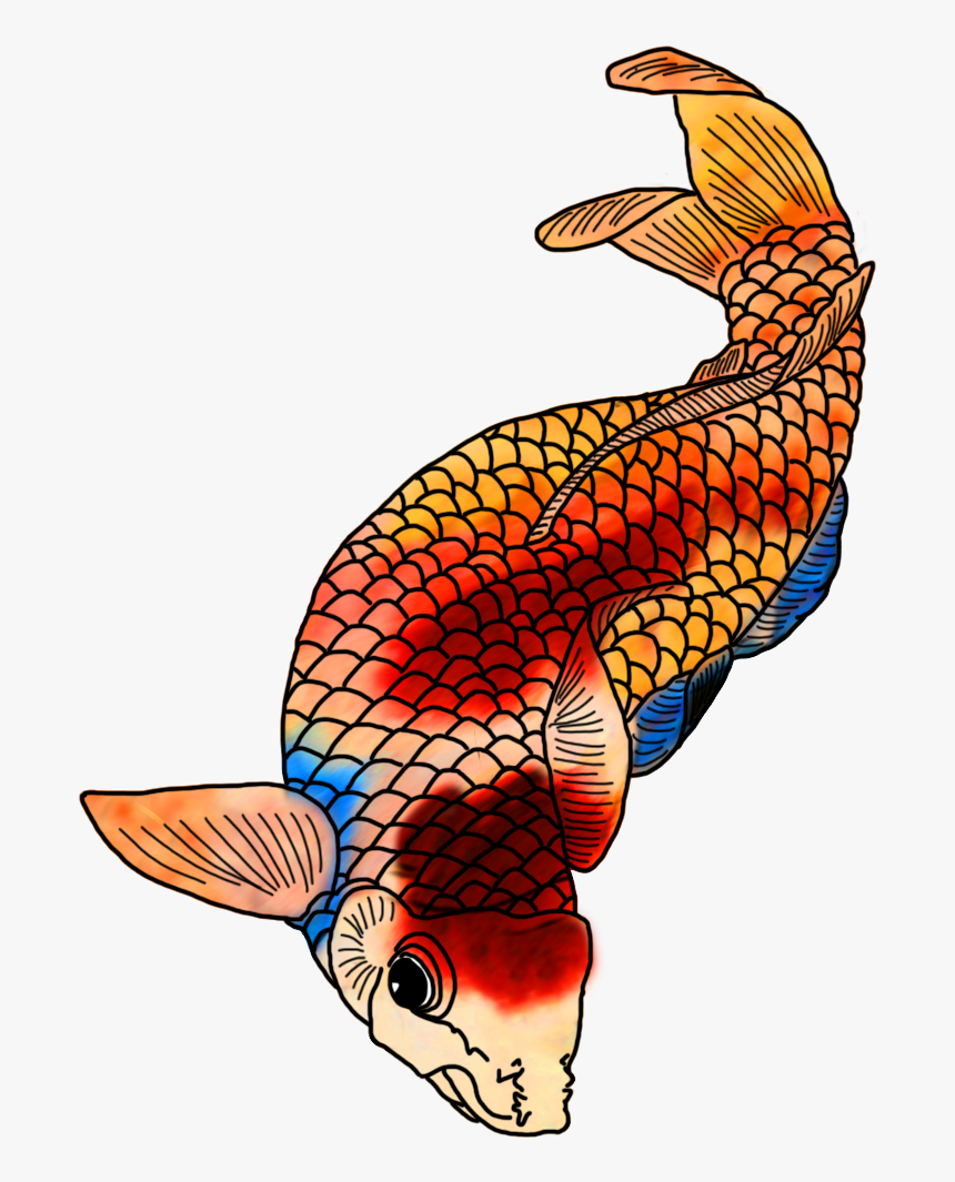 Colorful Koi Fish Drawings, HD Png Download, Free Download