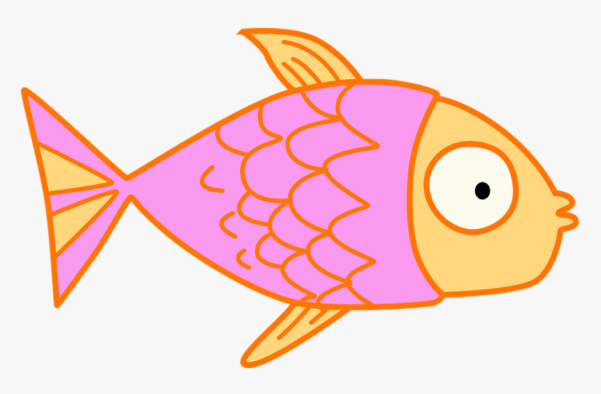 Cute Clip Art Photo - Transparent Background Fish Fin Clipart, HD Png Download, Free Download