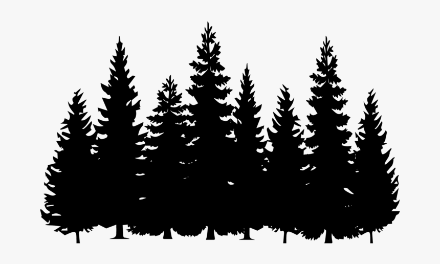 Pine Tree Black And White - Pine Tree Black And White Clipart, HD Png Download, Free Download