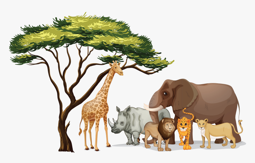 Pictures Of Jungle Animals Png - African Animals Clip Art, Transparent Png, Free Download