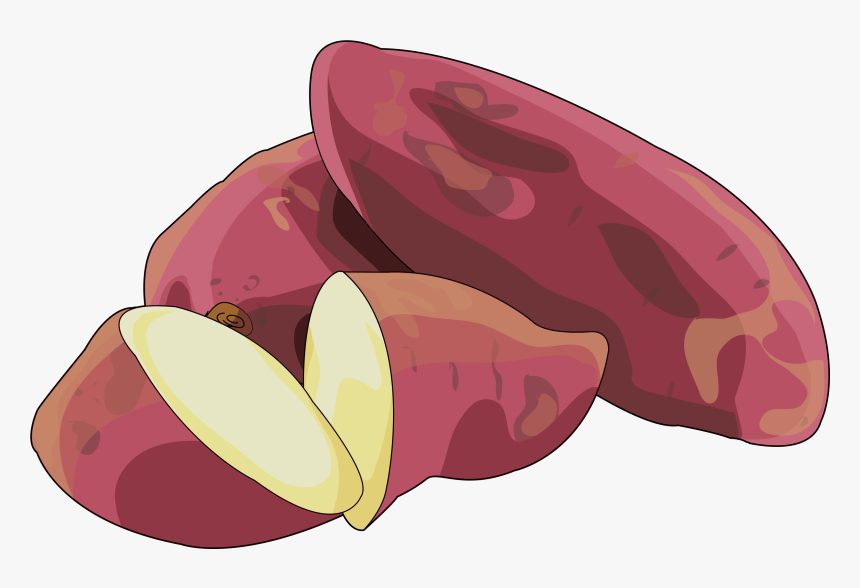 Shallot, HD Png Download, Free Download