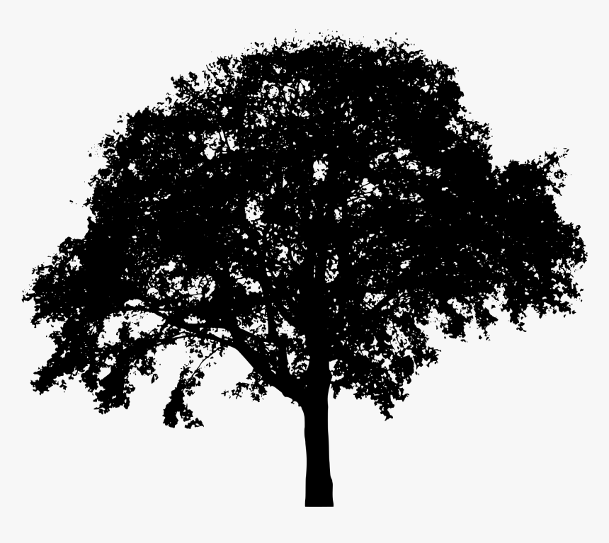 Silhouette Tree Clip Art - Transparent Background Tree Silhouette, HD Png Download, Free Download