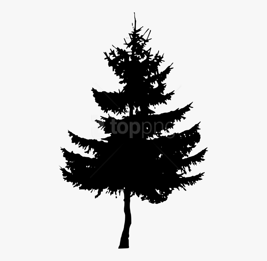 Tree,shortleaf Black Spruce,white Pine,colorado Spruce,christmas - Small Pine Tree Silhouette, HD Png Download, Free Download