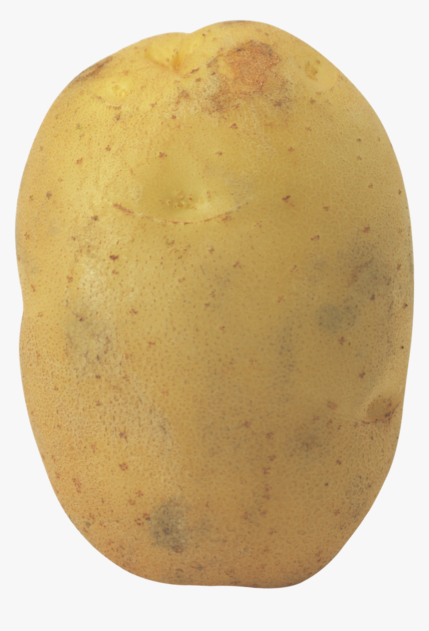 Potato Png Image - Transparent Potato White Background, Png Download, Free Download