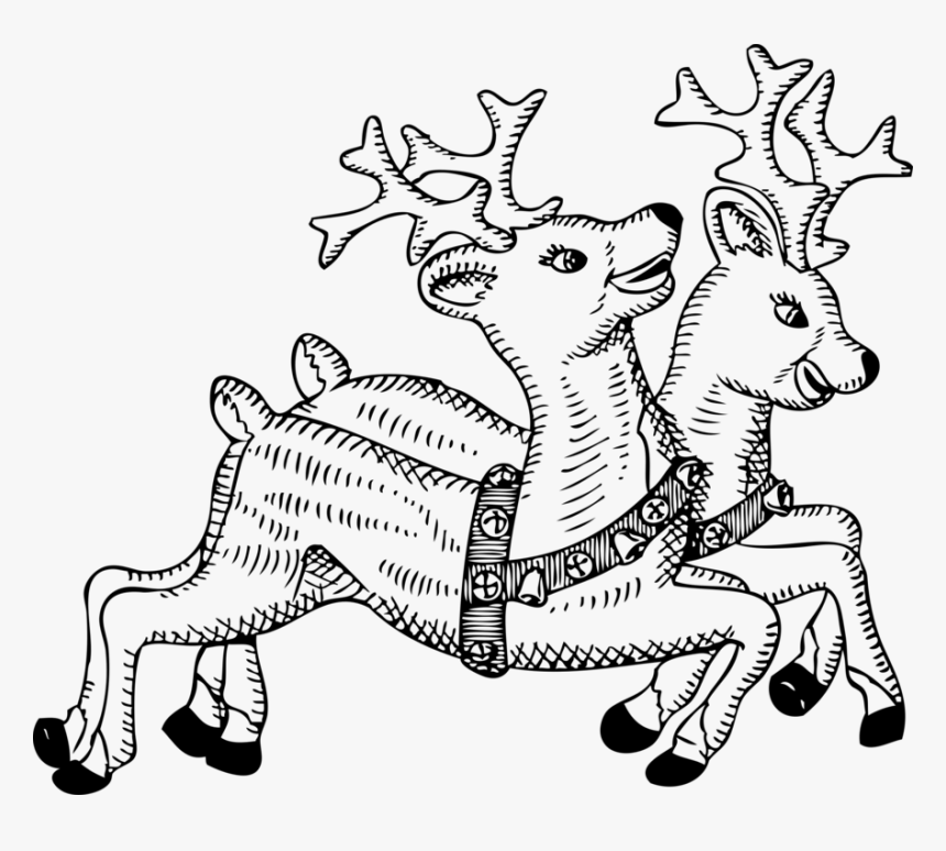 Art,monochrome Photography,deer - Christmas Reindeer Clipart Black And White, HD Png Download, Free Download