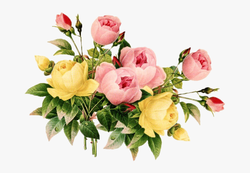 Clip Art Pin By Judy Root - Transparent Background Flores Png, Png Download, Free Download