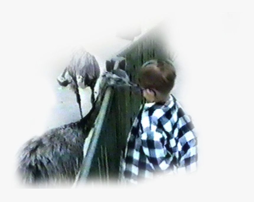 Hilarious Png, Transparent Png, Free Download